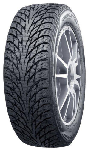Nokian Hakkapeliitta R2 195/65R15 95R T428385 XL
